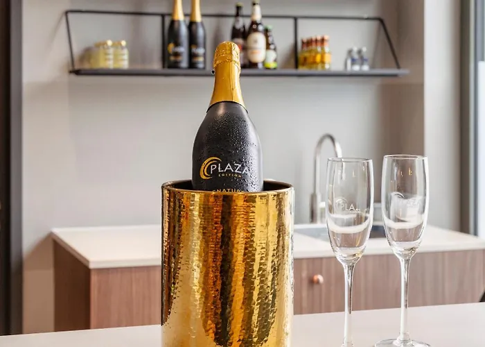 فندق Plaza أولم